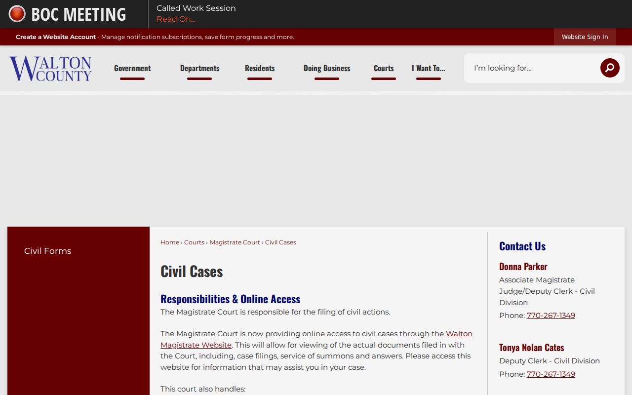 Walton County civil docket case information